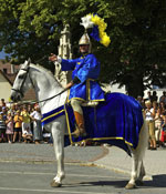 Historisches Kostümfest Purbach 2008 - zur Verfügung gestellt vom Tourismusverband Purbach